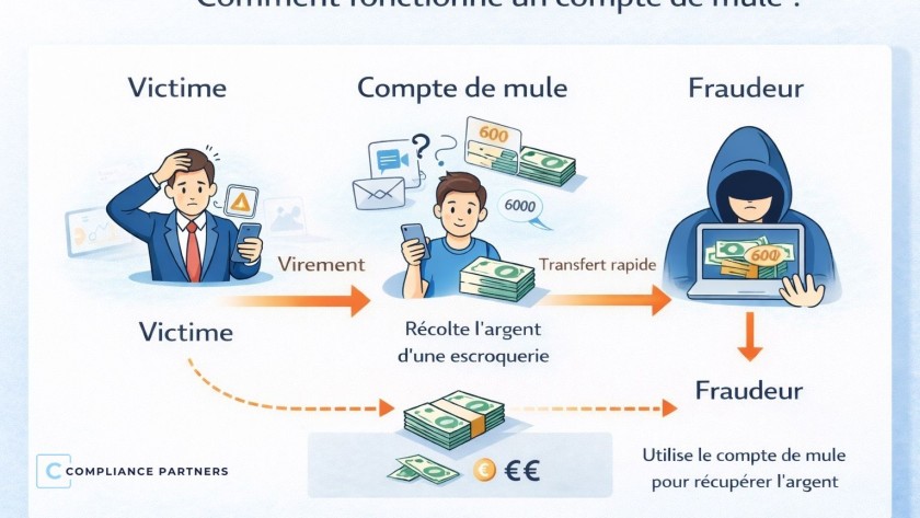 compte de mule